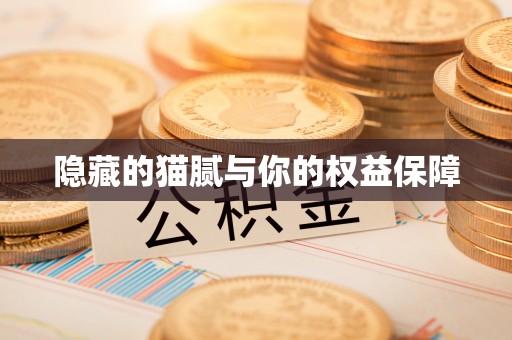 鲅鱼圈隐藏的猫腻与你的权益保障