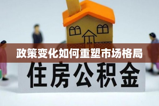 鲅鱼圈政策变化如何重塑市场格局