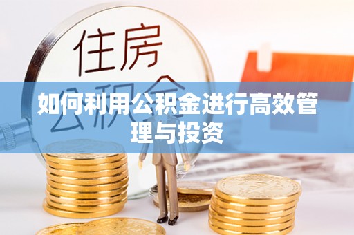 鲅鱼圈如何利用公积金进行高效管理与投资