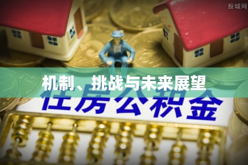 鲅鱼圈机制、挑战与未来展望